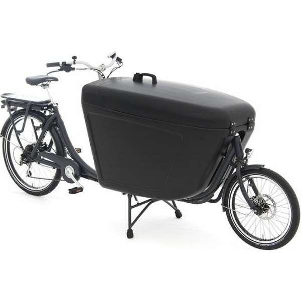 (TIJDELIJK NIET LEVERBAAR)Pro Bike-E