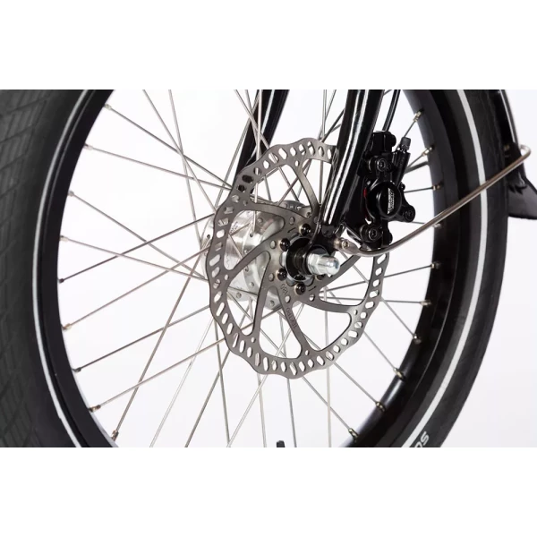 Elektrische Bakfiets Classic Long - Afbeelding 4