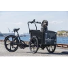 Cargobike Flex Dog